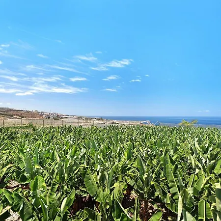 La Calabacera Casa Azul פלאייה דה סאן חואן